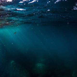 Scary Water Wallpapers