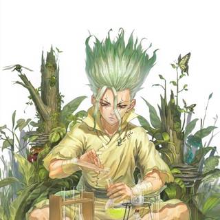 anime