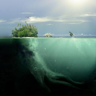 Scary Water Wallpapers