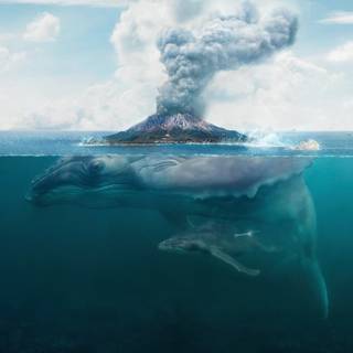 Scary Water Wallpapers