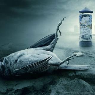 Scary Water Wallpapers