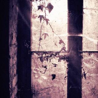 Scary Shadow Wallpapers