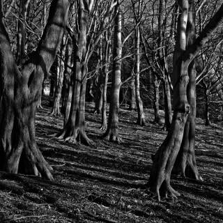 Scary Shadow Wallpapers