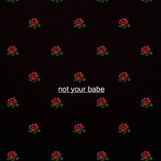 Am I your pookie or your bebe ?