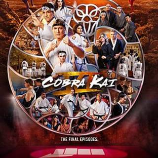 cobra kai les go 