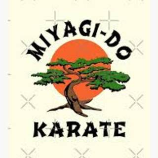 miyagi do 