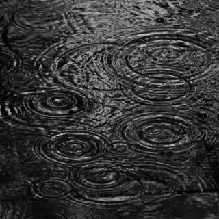 Black Rain