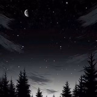 Pacific Forest at night