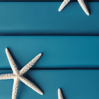 Starfish 