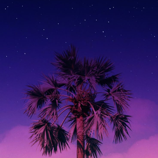 Palm tree