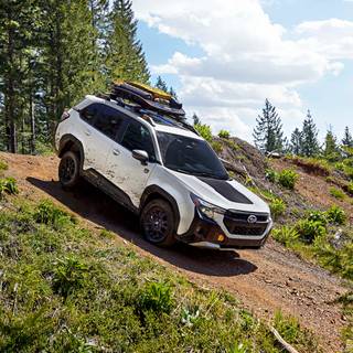 Subaru Forester Wilderness