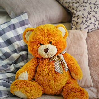 Teddy Bear