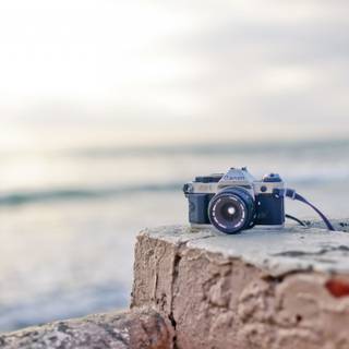 Canon Camera On Rock Stone