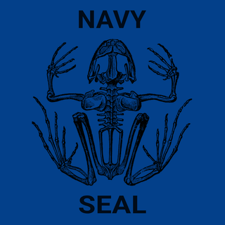 Navy SEAL