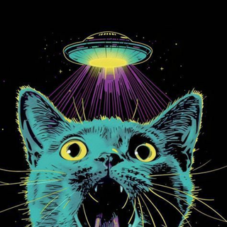 Space Cat