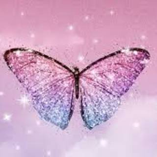 Cute butterfly wallpaper