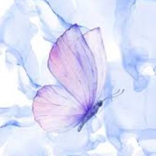 Pastel butterfly wallpaper