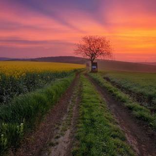 Drumul spre rasarit si apus