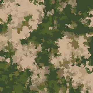 Camouflage 