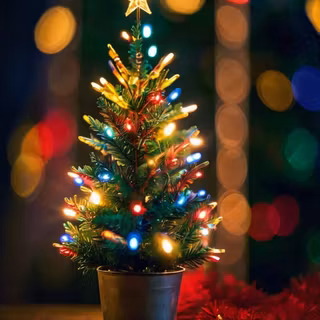 Little Christmas tree