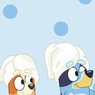 bluey