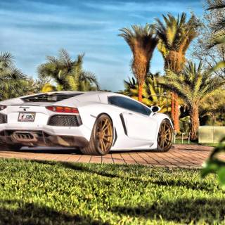 Lamborghini Aventador Blanc 