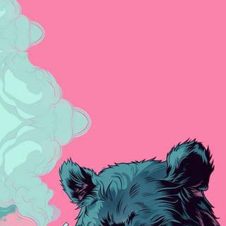 Bear