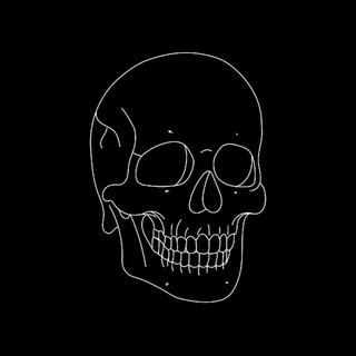 Minimalist Skull