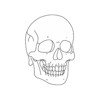 Minimalist Skull