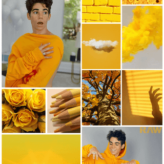 cameron Boyce yellow orange theme