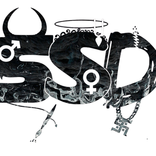 SSD logo for only personal use( never use this without permission