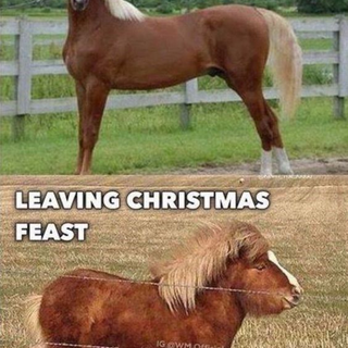 Before vs. After Christmas Dinner