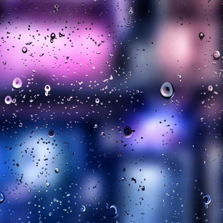 Rainy window
