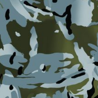 Camouflage 