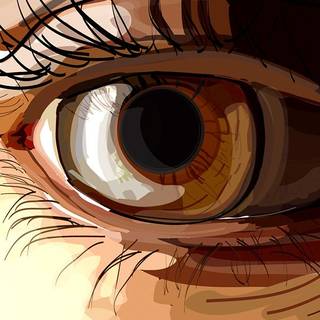 Eye