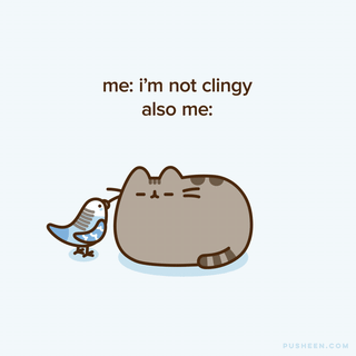 pusheen