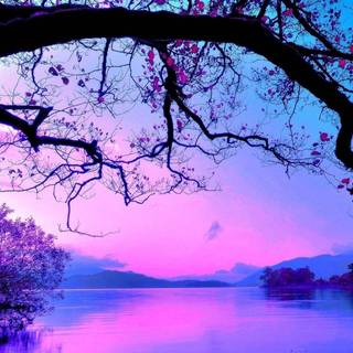 Purple Lake