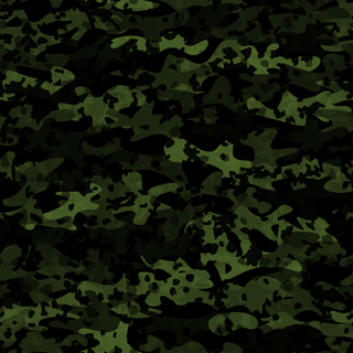 Camouflage Pattern 