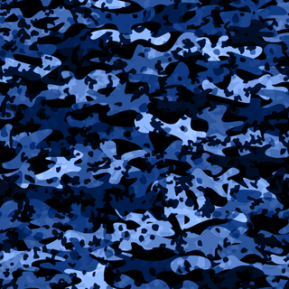 Blue Camo