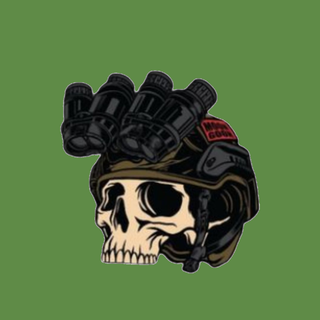 Tactical Skull