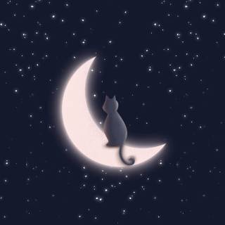 Cat Sitting on the Moon