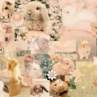 -+rabbit aesthetic background+-