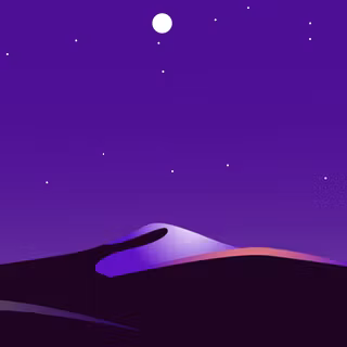Desert Night