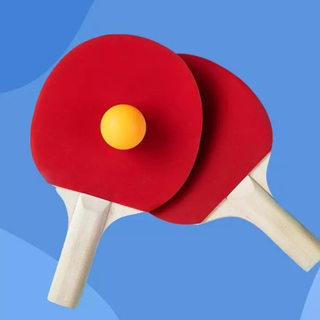 Pickles ball paddles