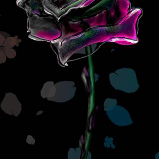 Samsung S25 Ultra Wallpaper Fleur Triste