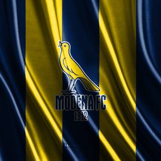 Modena FC 2018