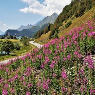 Road