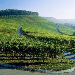 Road