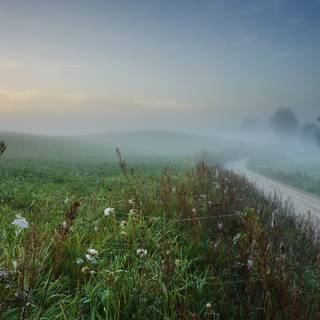 Path through the fog