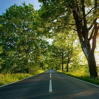 Road
